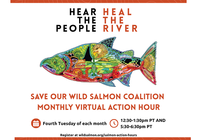 salmon_action_hour__700_x_500_px_.png