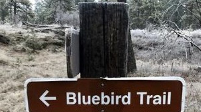 Hiking Turnbull’s Bluebird Trail