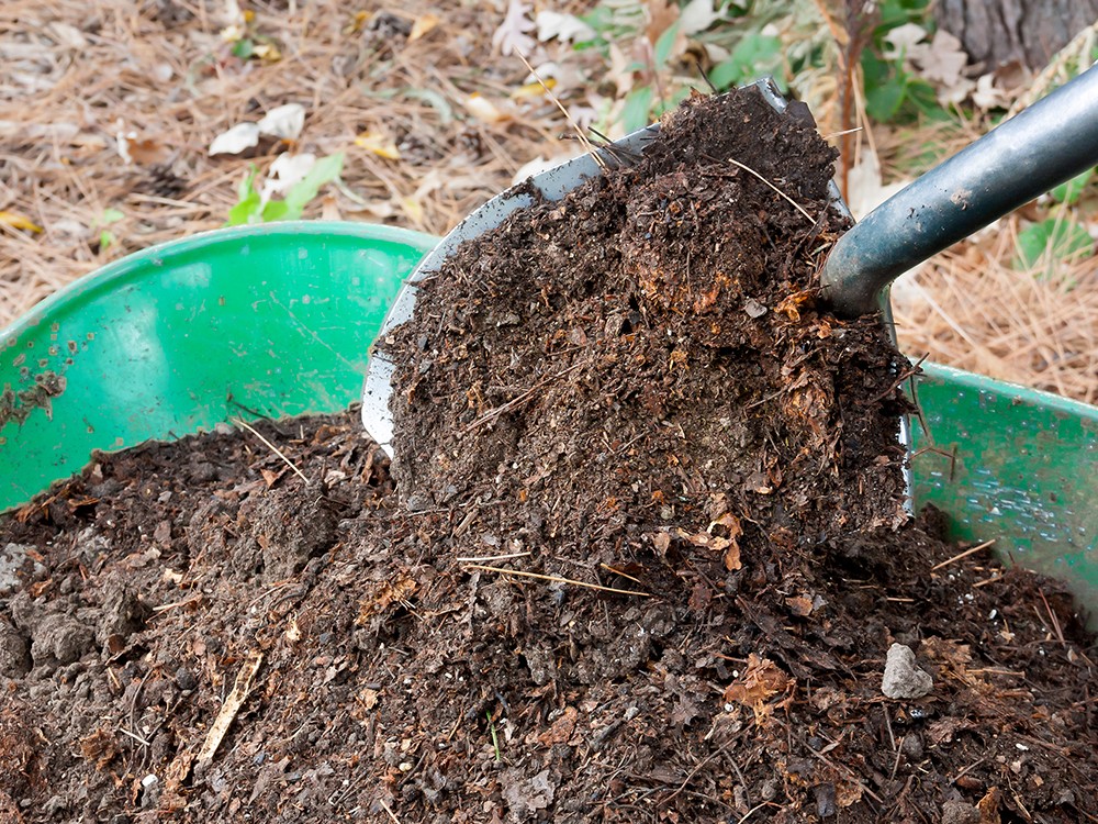 HOW TO: Start Composting