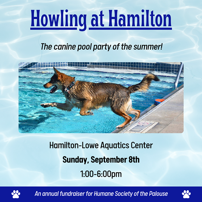 Moscow's Dog Day at the Pool is Back!
