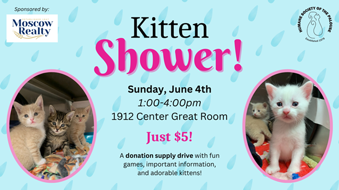 Humane Society of the Palouse: Kitten Shower