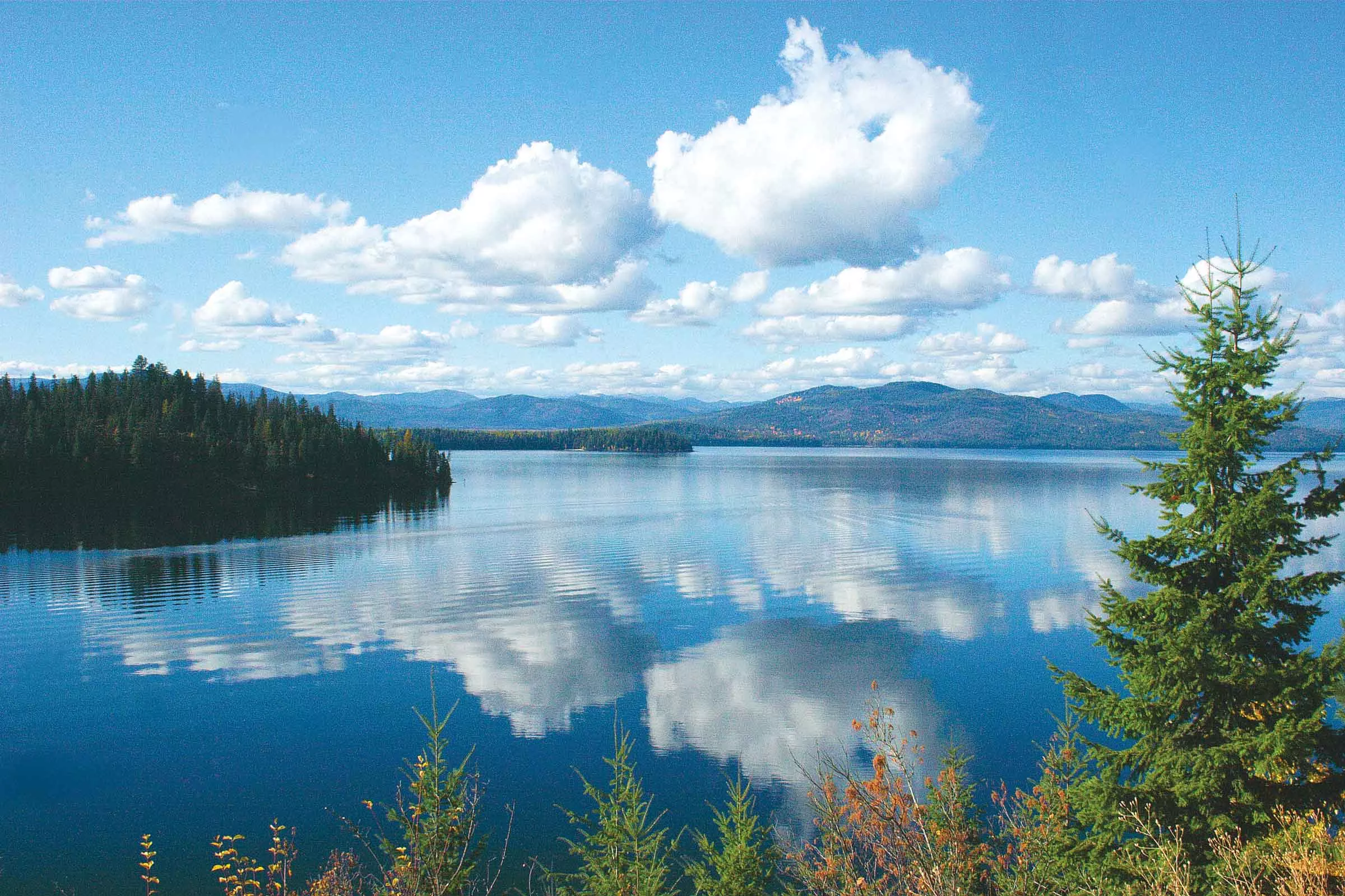 Idaho: Greenest. State. Ever.