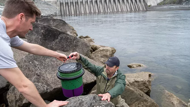 Image: Inland Northwest tribes are using technology to track young salmon in hopes of returning runs to the Columbia and Spokane rivers