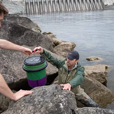 Image: Inland Northwest tribes are using technology to track young salmon in hopes of returning runs to the Columbia and Spokane rivers