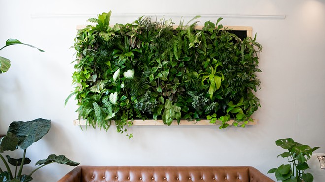 Image: Invite nature into your home by creating a verdant "living wall" display