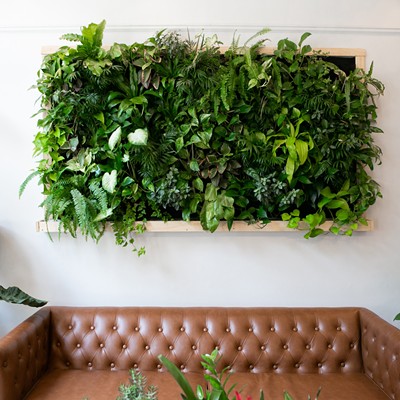 Image: Invite nature into your home by creating a verdant "living wall" display