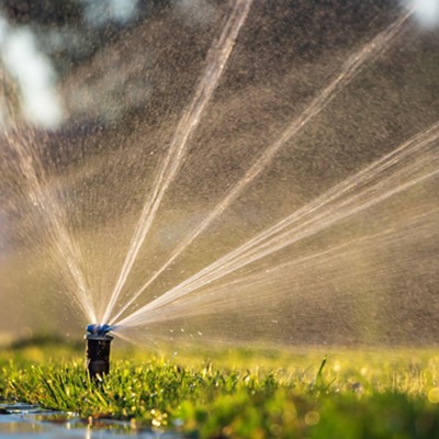 It's against the law to water your lawn during the day in Spokane &mdash; unless you're a city park
