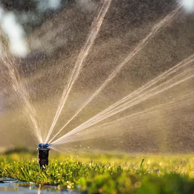 Image: It's against the law to water your lawn during the day in Spokane &mdash; unless you're a city park