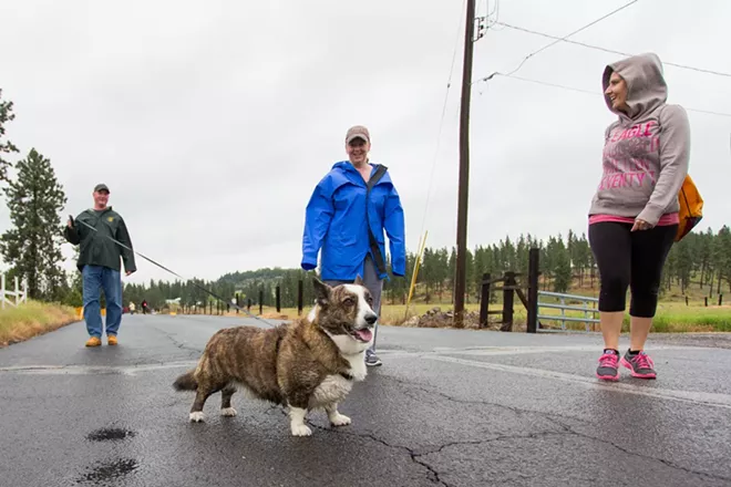 PHOTOS: Parade of Paws