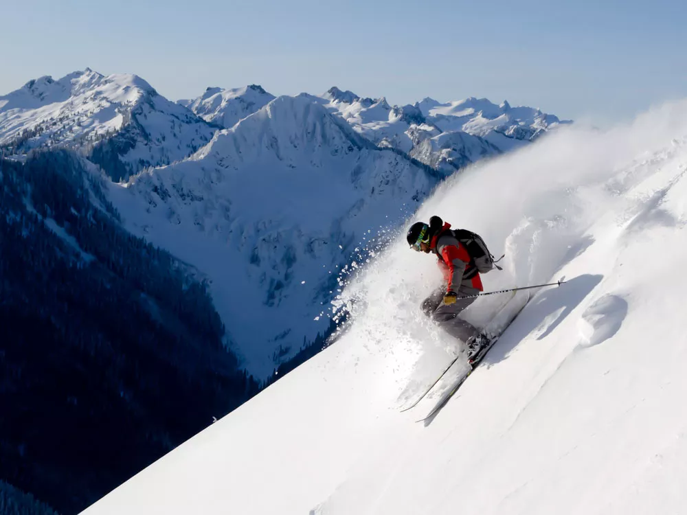 Jack of All Glades