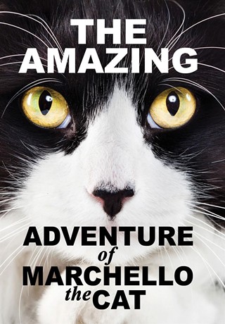 Kids Flix: Amazing Adventure of Marchello the Cat