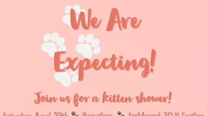 Image: Kitty Shower