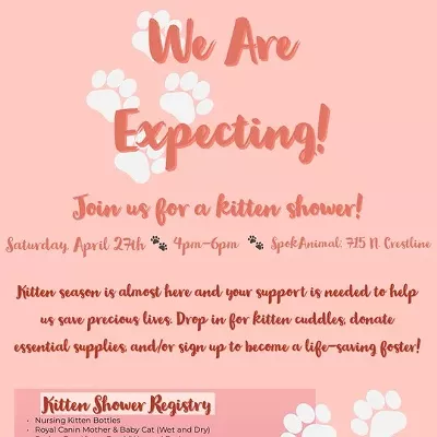 Image: It's Raining Kittens