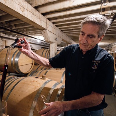 Learn the wine-making process with the help of Barrister Winery
