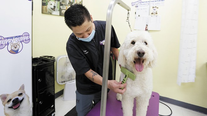 Local veterinary clinics are busier than ever amid the pandemic, while other pet care services struggle to catch up