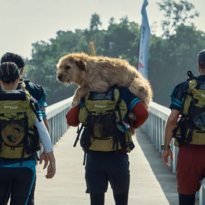 Mark Wahlberg teams up with a cute canine for the uninspired sports drama Arthur the King