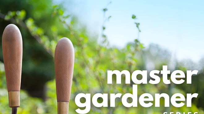 Image: Master Gardener Workshop: Seed Saving