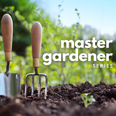 Image: Master Gardener Workshop: Seed Saving
