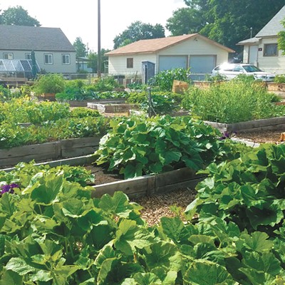 Where to Give: Master  Gardeners