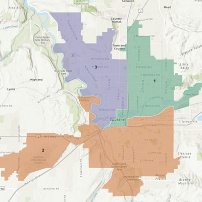 Measure 2: A guide to the redistricting measure on Spokane's Feb. 13 special election
