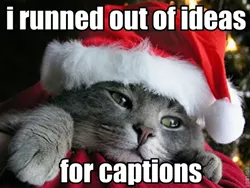 MORNING HEADLINES: Now with 108 percent more Christmas lolcats