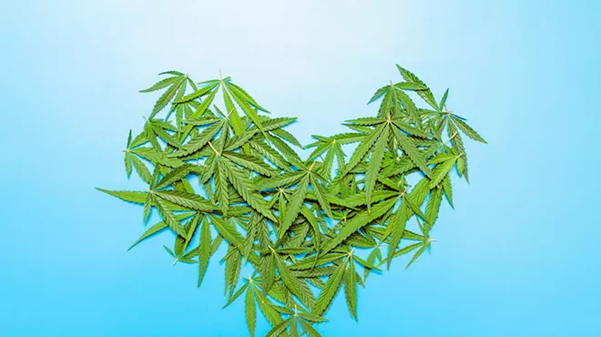 Image: National media ran wild with a story on negative health impacts of cannabis consumption