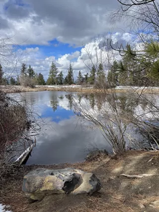 Image: Nature Day