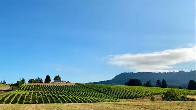 Image: North Idaho Wine Society November Tasting