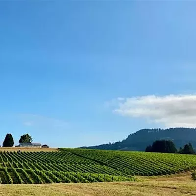 Image: North Idaho Wine Society November Tasting