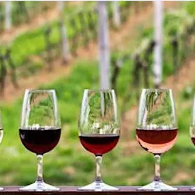 Image: North Idaho Wine Society September Season Kickoff Party