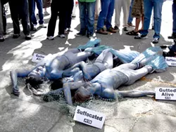 PETA makes a splash in downtown Spokane
