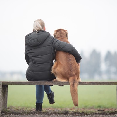 Pets are natural helpers in times of isolation and loneliness