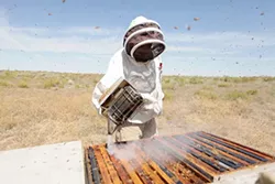 PHOTOS: Local beekeepers and their hives