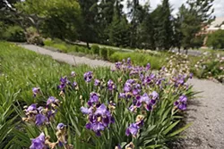PHOTOS: Moore-Turner Heritage Gardens