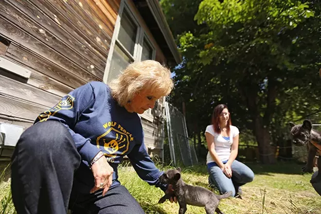PHOTOS: Wolf People Center