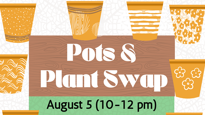 Pots and Plants: Flowerpot Decoration