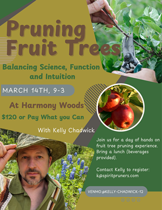 Image: Pruning Fruit Trees