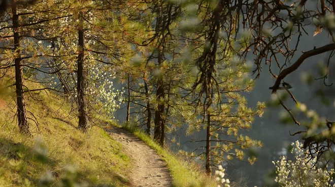 Image: Public transit brings you one stop closer to exploring Spokane's array of parks and natural areas