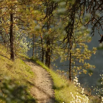 Image: Public transit brings you one stop closer to exploring Spokane's array of parks and natural areas