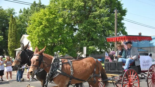 Image: Reardan Mule Days