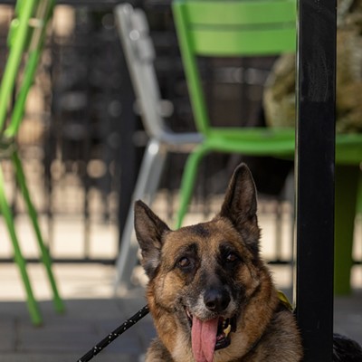 Recent changes to state health codes makes it easier for you and your canine pals to enjoy outdoor dining together