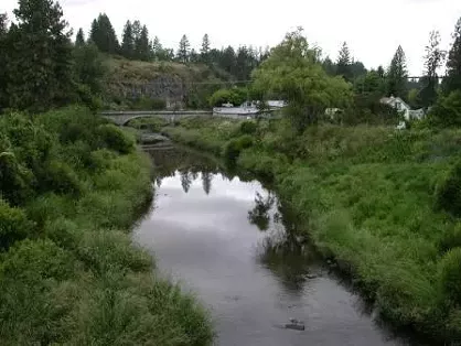 Reforesting Spokane, one tree at a time