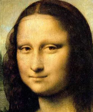 Revealing Da Vinci