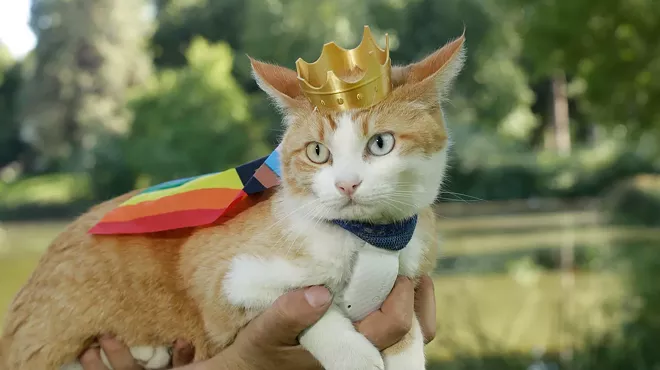 Image: Selkirk the cat made waves at Spokane Pride — now he's an internet star