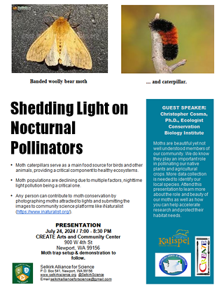 Image: Shedding Light on Nocturnal Pollinators