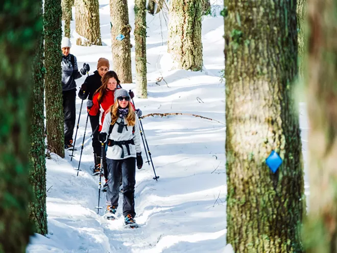 Group of people snowshoeing in a snowy forest.