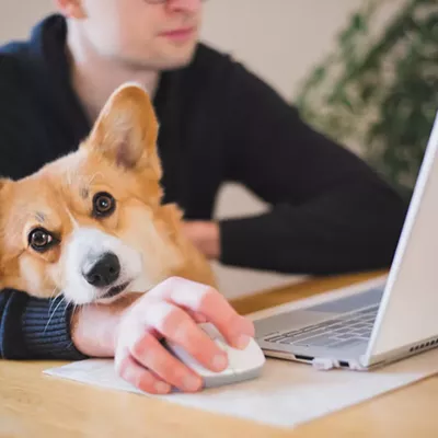 Sometimes an animal at the office is a very good thing