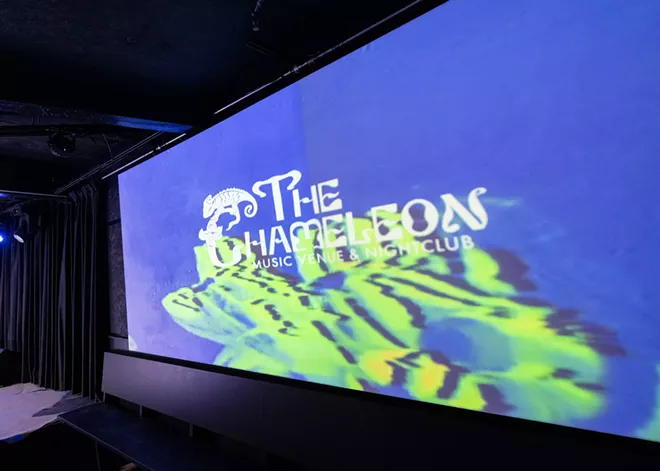 thechameleon-7.webp
