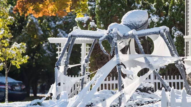 Image: ARACHNAPPED! Nine-foot-wide giant spider gets stolen from Browne's Addition yard