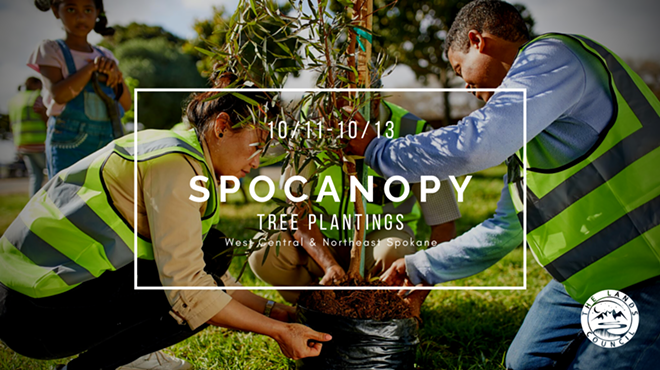 SpoCanopy Tree Plantings